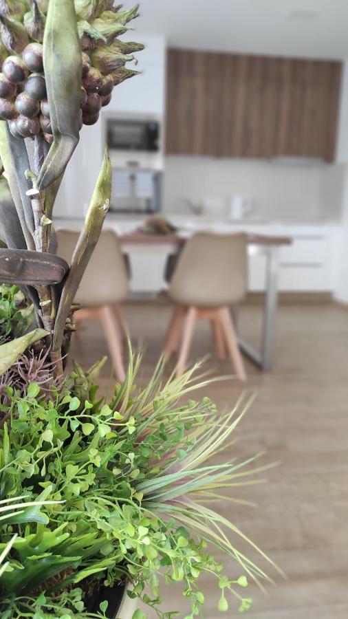Apartmany Na Vyhlidce Paseka  Extérieur photo
